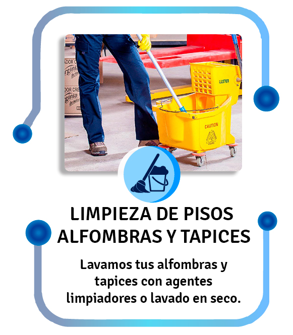 aseo5